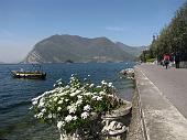 Lago d'Iseo, Montisola: passeggiata primaverile da Peschiera Maraglio a Sensole il 21 aprile 2010 - FOTOGALLERY